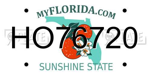 HO76720 Florida License Plate