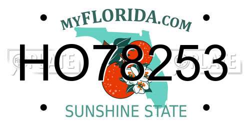 HO78253 Florida License Plate