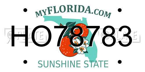 HO78783 Florida License Plate