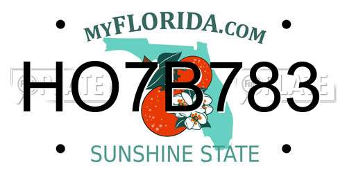 HO7B783 Florida License Plate