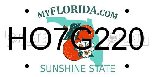 HO7G220 Florida License Plate