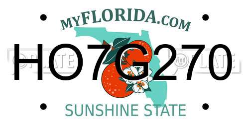 HO7G270 Florida License Plate