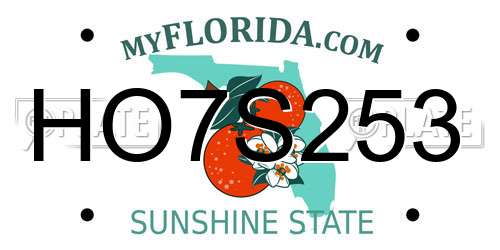 HO7S253 Florida License Plate
