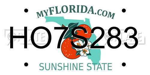 HO7S283 Florida License Plate