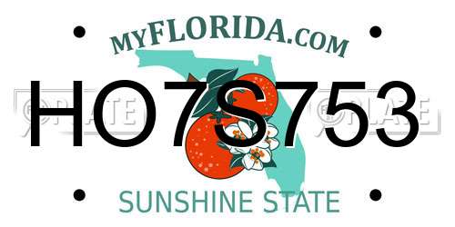 HO7S753 Florida License Plate
