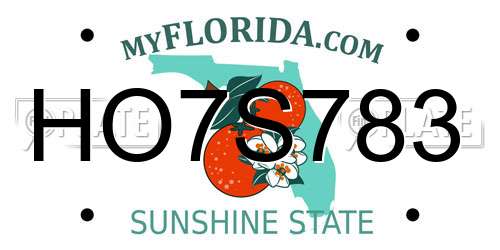 HO7S783 Florida License Plate