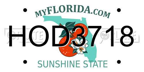 HOD3718 Florida License Plate