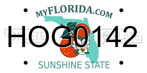 HOG0142 Florida License Plate