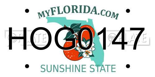 HOG0147 Florida License Plate