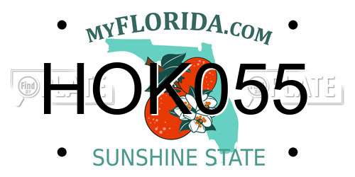 HOK055 Florida License Plate