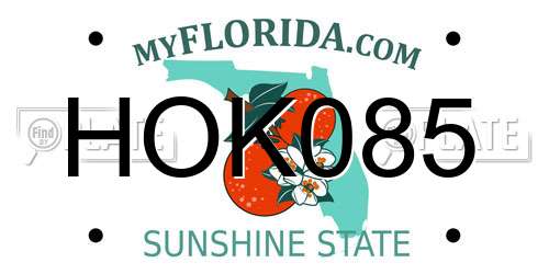 HOK085 Florida License Plate