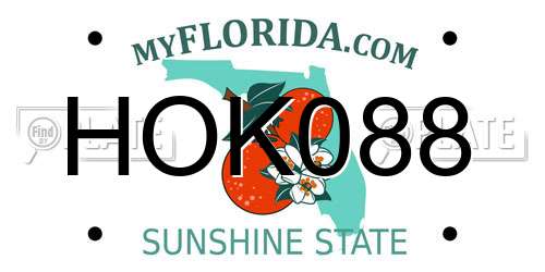 HOK088 Florida License Plate