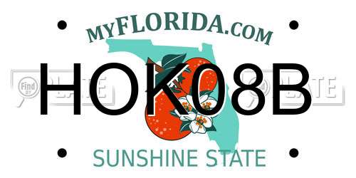 HOK08B Florida License Plate