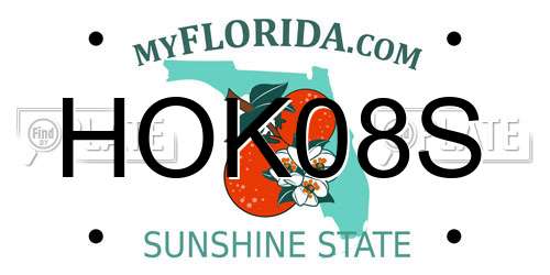 HOK08S Florida License Plate