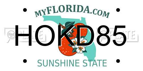 HOKD85 Florida License Plate