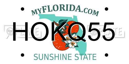 HOKQ55 Florida License Plate