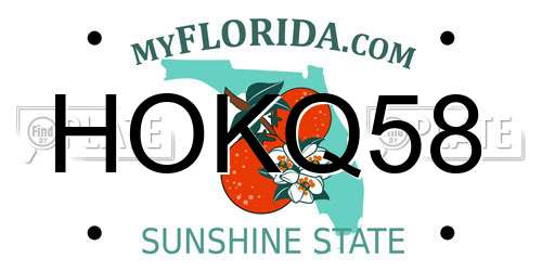HOKQ58 Florida License Plate