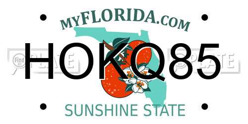 HOKQ85 Florida License Plate