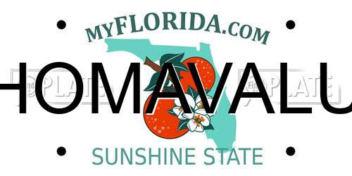 HOMAVALU Florida License Plate