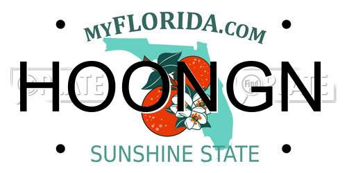 HOONGN Florida License Plate