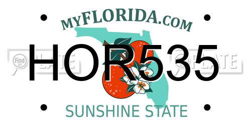 HOR535 Florida License Plate