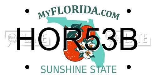 HOR53B Florida License Plate