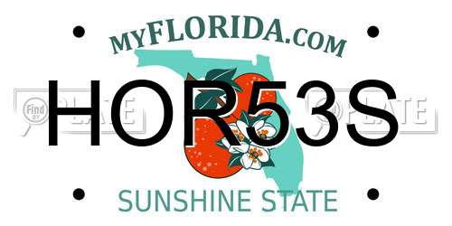 HOR53S Florida License Plate