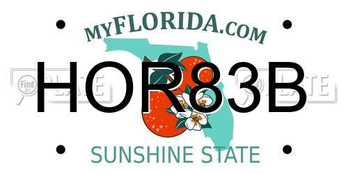 HOR83B Florida License Plate
