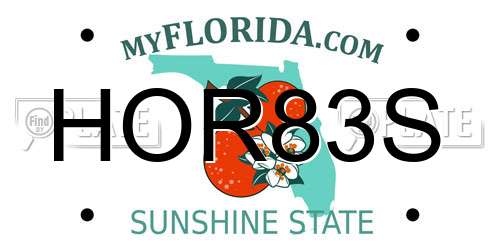 HOR83S Florida License Plate