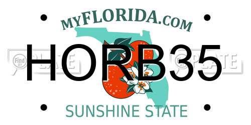 HORB35 Florida License Plate