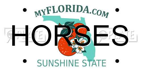 HORSES Florida License Plate