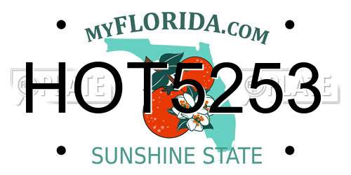 HOT5253 Florida License Plate