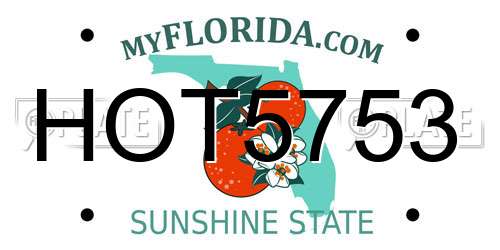 HOT5753 Florida License Plate