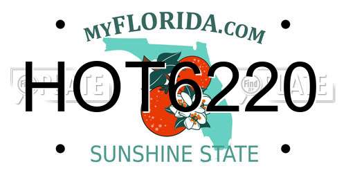 HOT6220 Florida License Plate