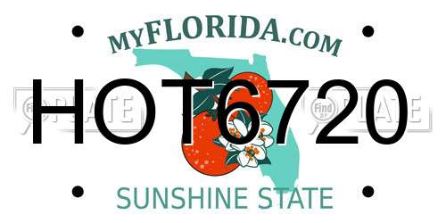 HOT6720 Florida License Plate