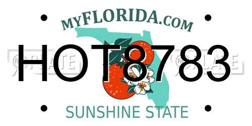 HOT8783 Florida License Plate