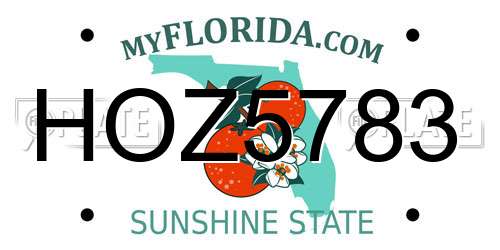 HOZ5783 Florida License Plate