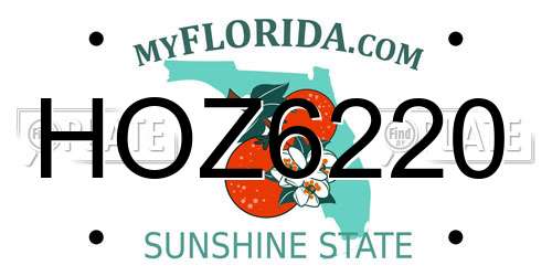 HOZ6220 Florida License Plate