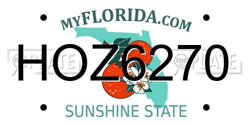 HOZ6270 Florida License Plate