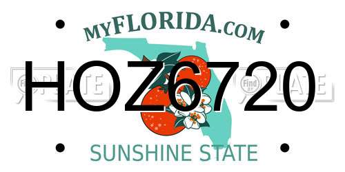 HOZ6720 Florida License Plate