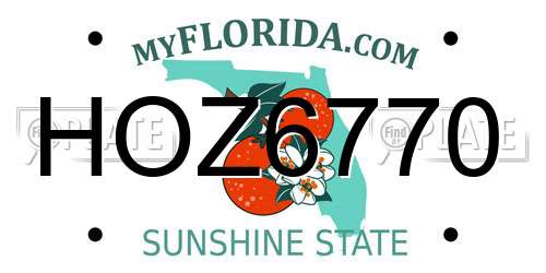 HOZ6770 Florida License Plate