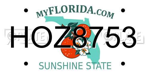 HOZ8753 Florida License Plate