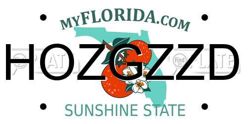 HOZGZZD Florida License Plate