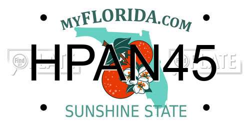HPAN45 Florida License Plate
