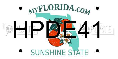 HPDE41 Florida License Plate