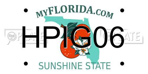 HPIG06 Florida License Plate