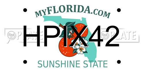 HPIX42 Florida License Plate