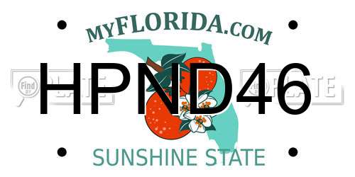 HPND46 Florida License Plate