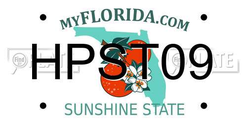 HPST09 Florida License Plate