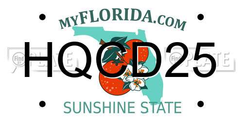 HQCD25 Florida License Plate
